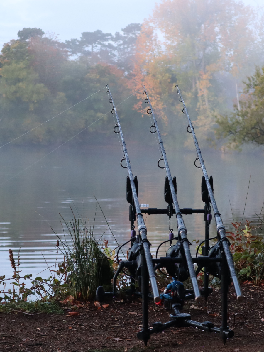 Forfaits pêche juillet à octobre